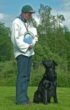 
    
    
        
            
            Så er det ultimative sket, Bob vinder Retrievermesterskabet 2005
            .
            
        
        
             Bob slår nogle af landets bedste labradorer og mest garvede hundefører i Danmark.
            Jeg er bare så pave stolt af min dreng...
            
        
    
    
